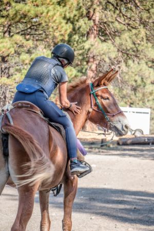 Picture for category Home